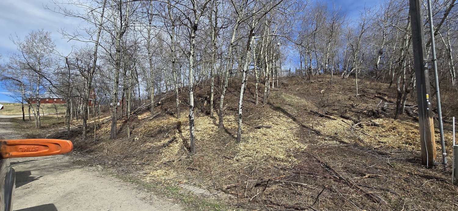 Givens Fire and Forestry project photo