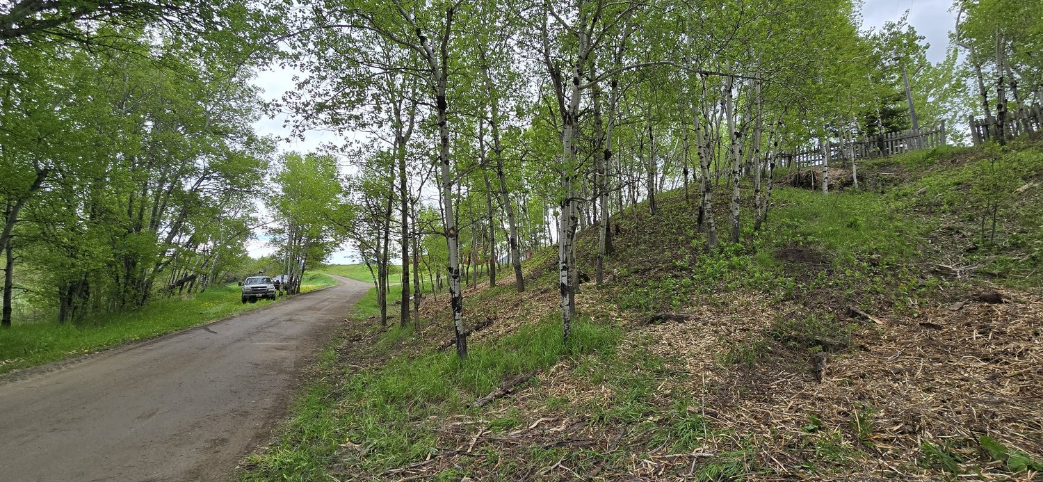 Givens Fire and Forestry project photo