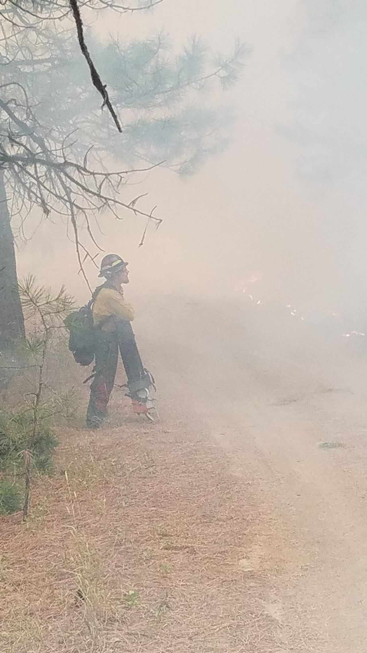 Givens Fire and Forestry project photo