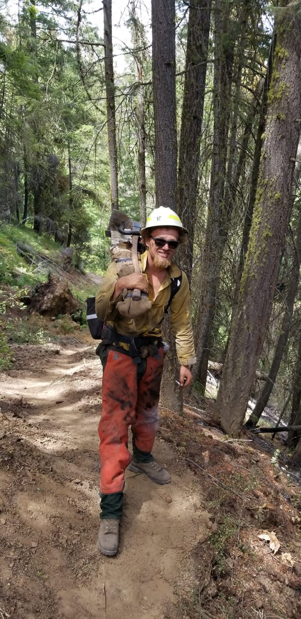 Givens Fire and Forestry project photo