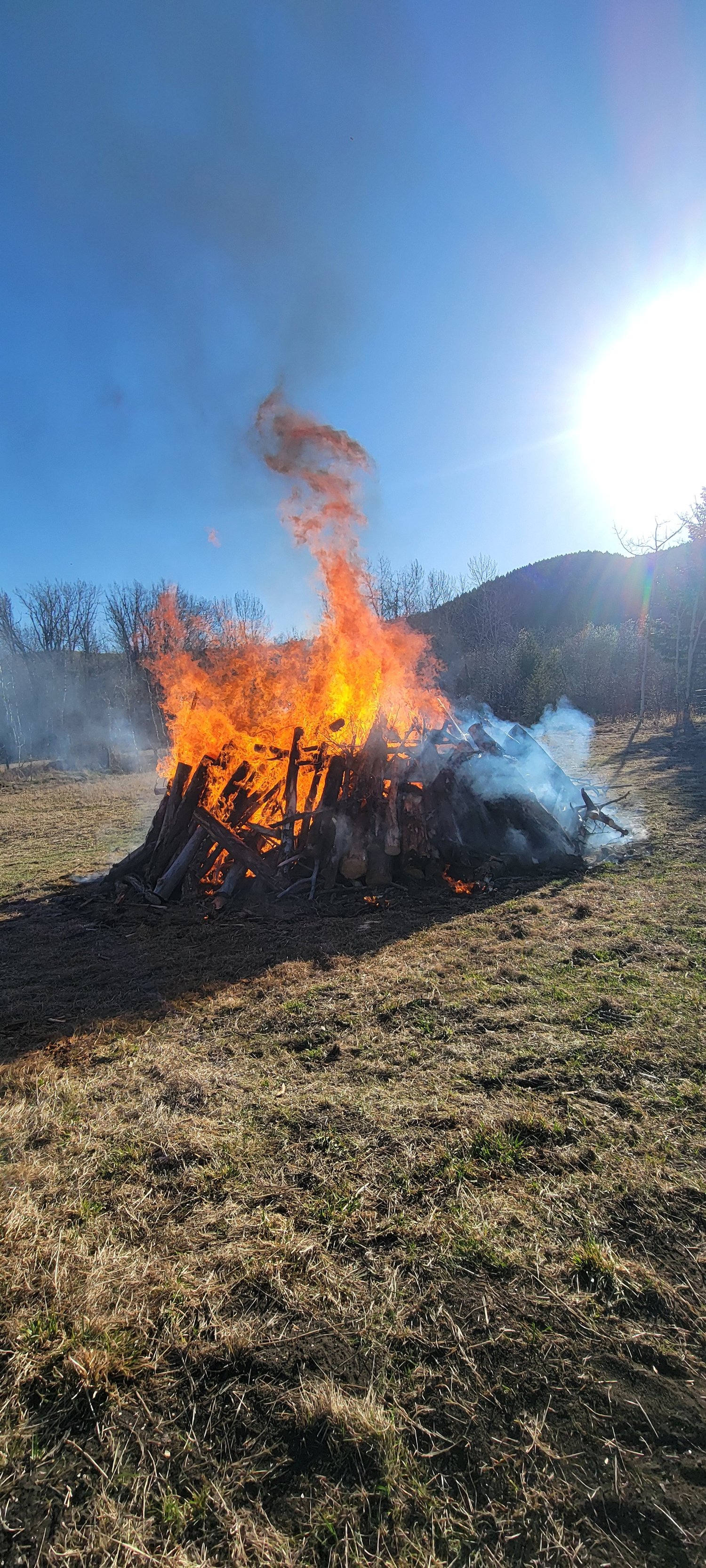 Givens Fire and Forestry project photo