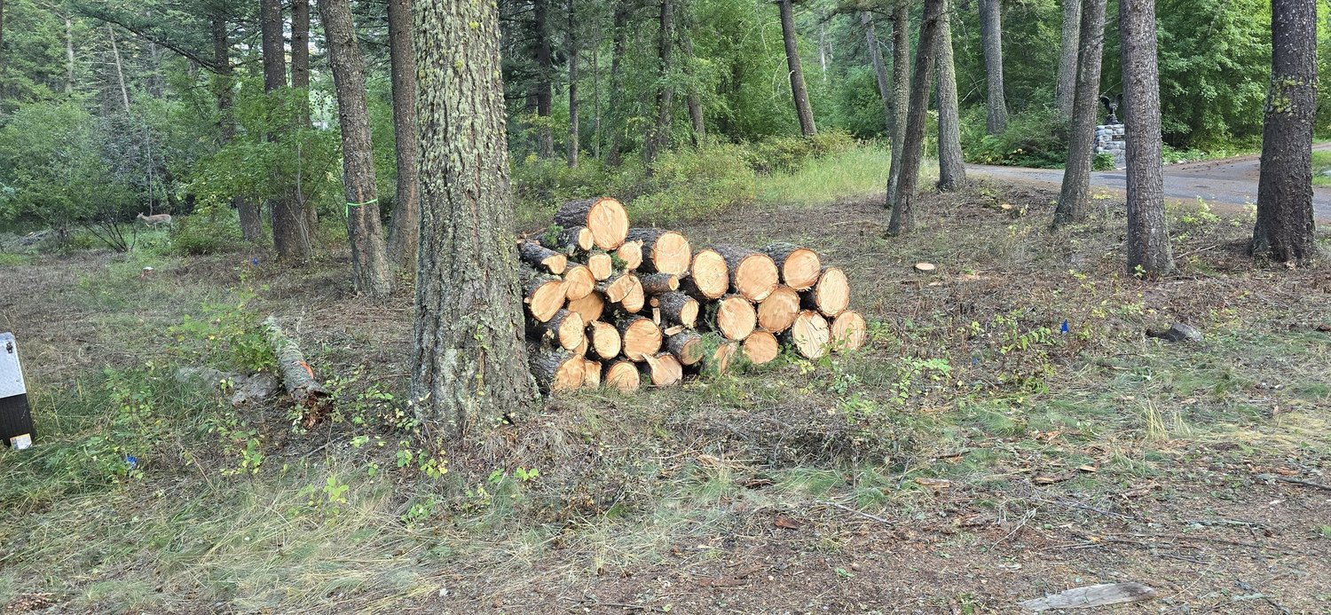 Givens Fire and Forestry project photo