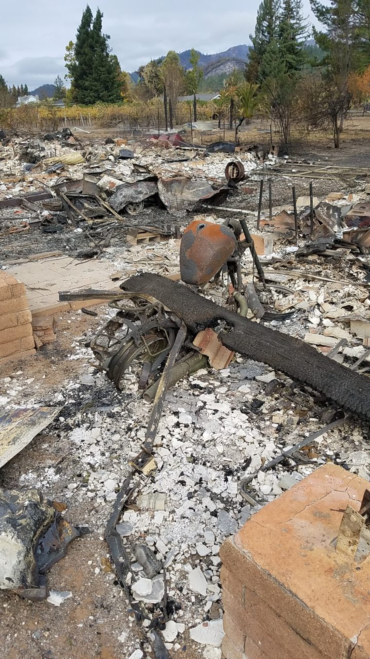 Debris and wreckage from fire damage with mountains in the background