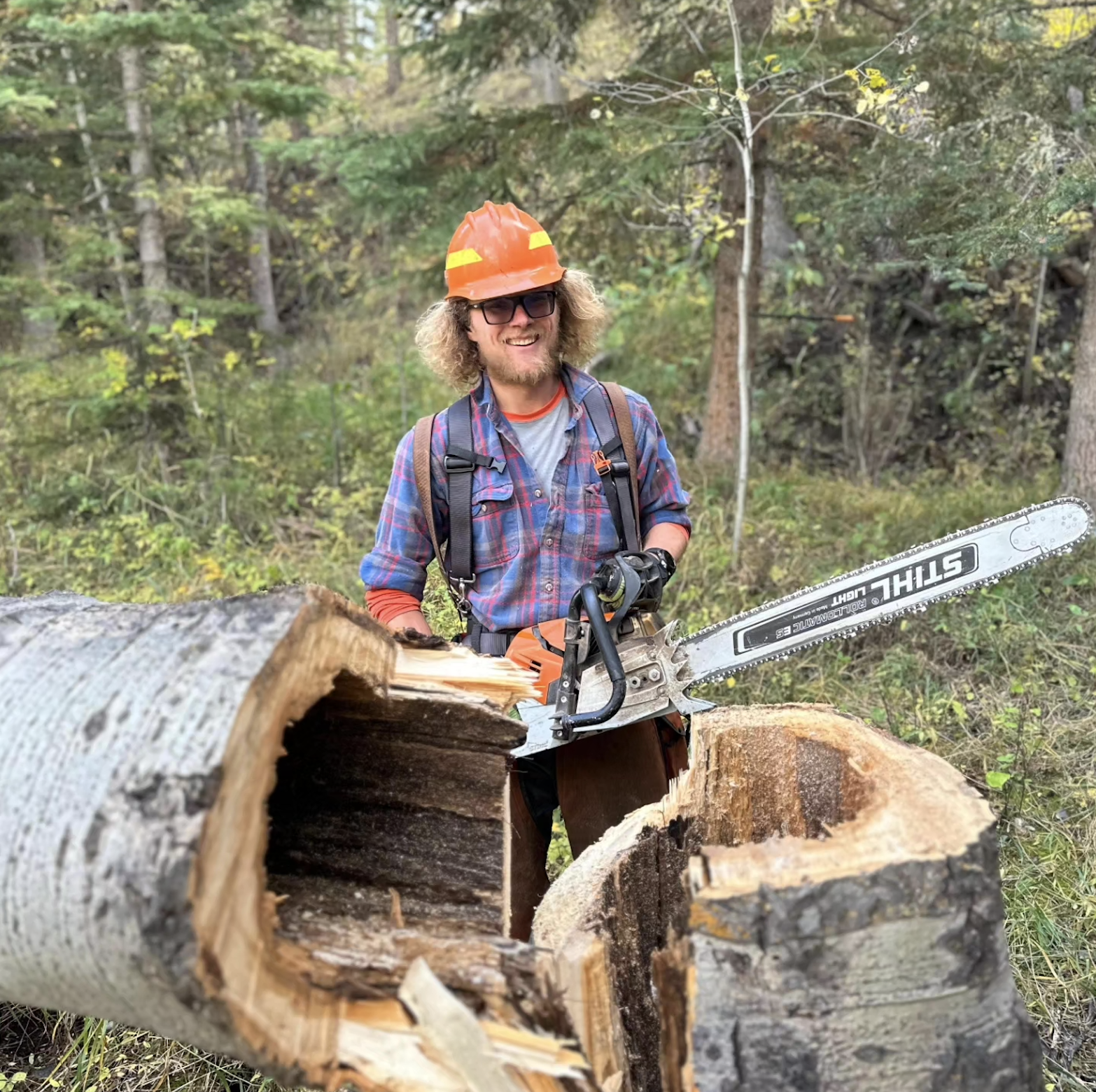 Samuel Givens cutting a fallen tree with a chainsaw in a forested area