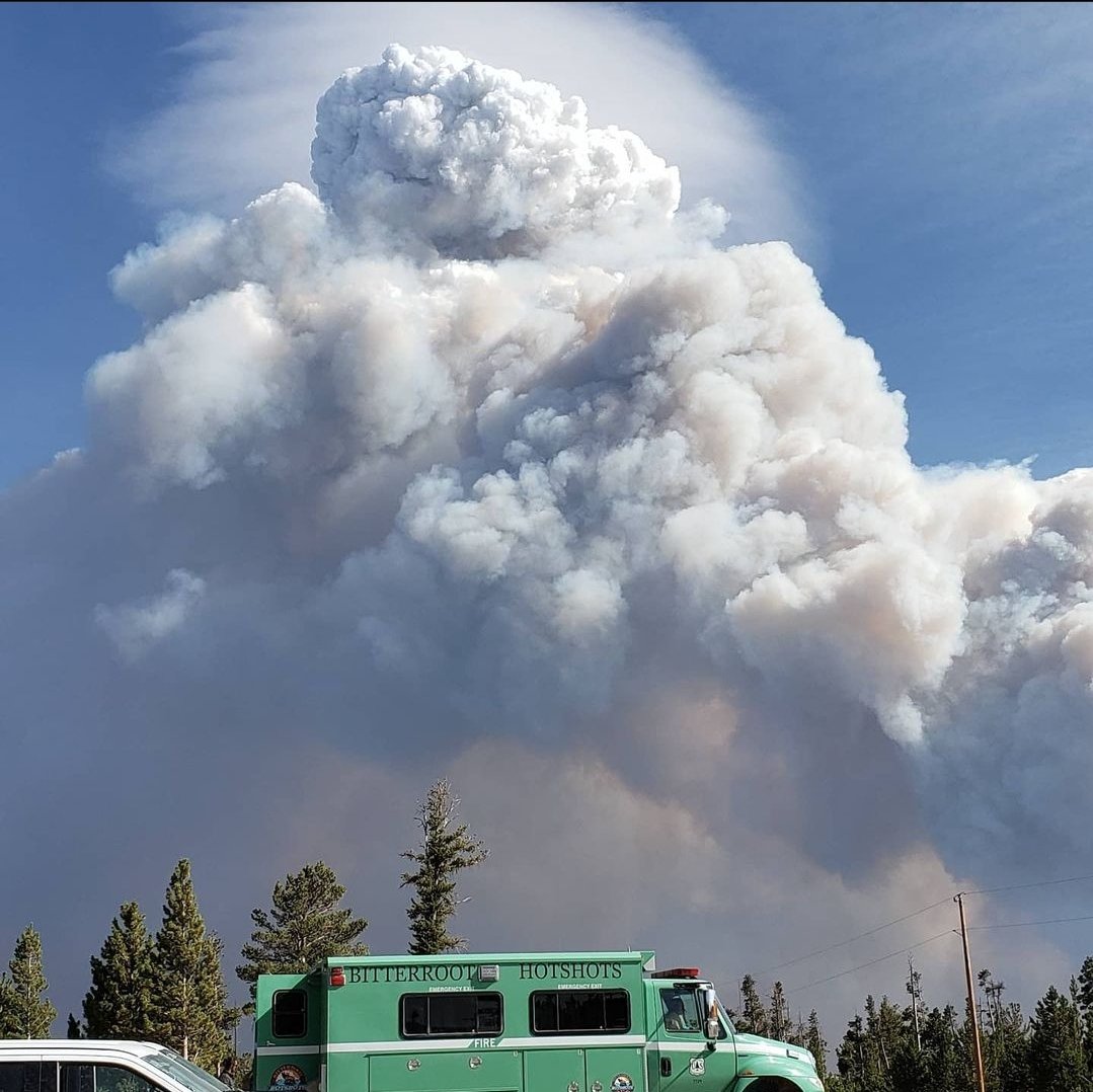 Givens Fire and Forestry project photo